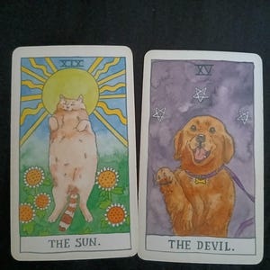 May include: Two tarot cards featuring animal illustrations. One card shows a cat in front of a sun, labeled "THE SUN." The other card depicts a dog with stars, labeled "THE DEVIL." Both cards have a white border.