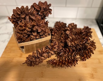 May include: A collection of brown pine cones, some arranged in a small wooden basket, others scattered on a wooden cutting board. The cones have a textured, layered appearance, with varying shades of brown. The natural arrangement suggests a rustic, decorative theme.
