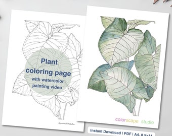 Arrowhead Plant Coloring Page - Printable Watercolor Coloring Page for Adults with Tutorials