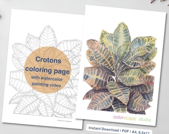 Croton Plant Coloring Page - Printable Watercolor Coloring Page for Adults with Tutorials