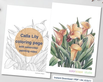 Calla Lily Flower Coloring Page - Printable Watercolor Coloring Page for Adults with Tutorials