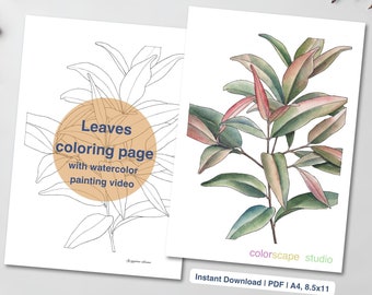 Syzgium Plant Coloring Page - Printable Watercolor Leaves Coloring Page for Adults with Tutorials