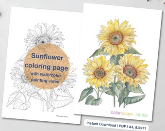 Disegno di girasole da colorare - Pagina da colorare ad acquerello stampabile per adulti con tutorial