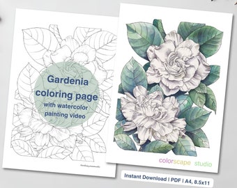 Página para colorear de flores de Gardenia - Página para colorear de acuarela imprimible para adultos con tutoriales