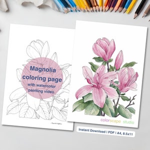 Magnolia Flower Coloring Page - Printable Watercolor Coloring Page for Adults with Tutorials
