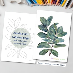 Zamia Plant Coloring Page - Printable Watercolor Coloring Page for Adults with Tutorials