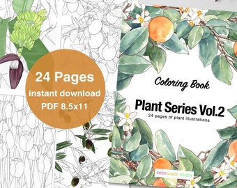Puede incluir: Una portada de libro para colorear con una ilustración de acuarela de un árbol cítrico con hojas verdes, flores blancas y frutos naranjas. El título "Plant Series Vol.2" está impreso en texto negro con el subtítulo "24 páginas de ilustraciones de plantas" en texto más pequeño debajo. La portada del libro también incluye el texto "Coloring Book" y el nombre del artista, "colorscape studio".