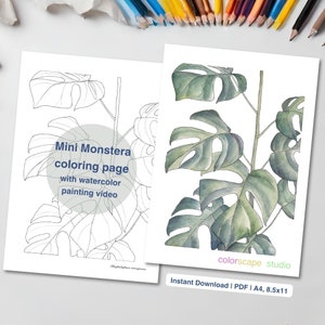 May include: Two botanical art prints featuring Monstera leaves. One is a watercolor painting, the other a line drawing for coloring. Text includes "Mini Monstera coloring page with watercolor painting video" and "colorscape studio". The prints are 8.5x11 inches.