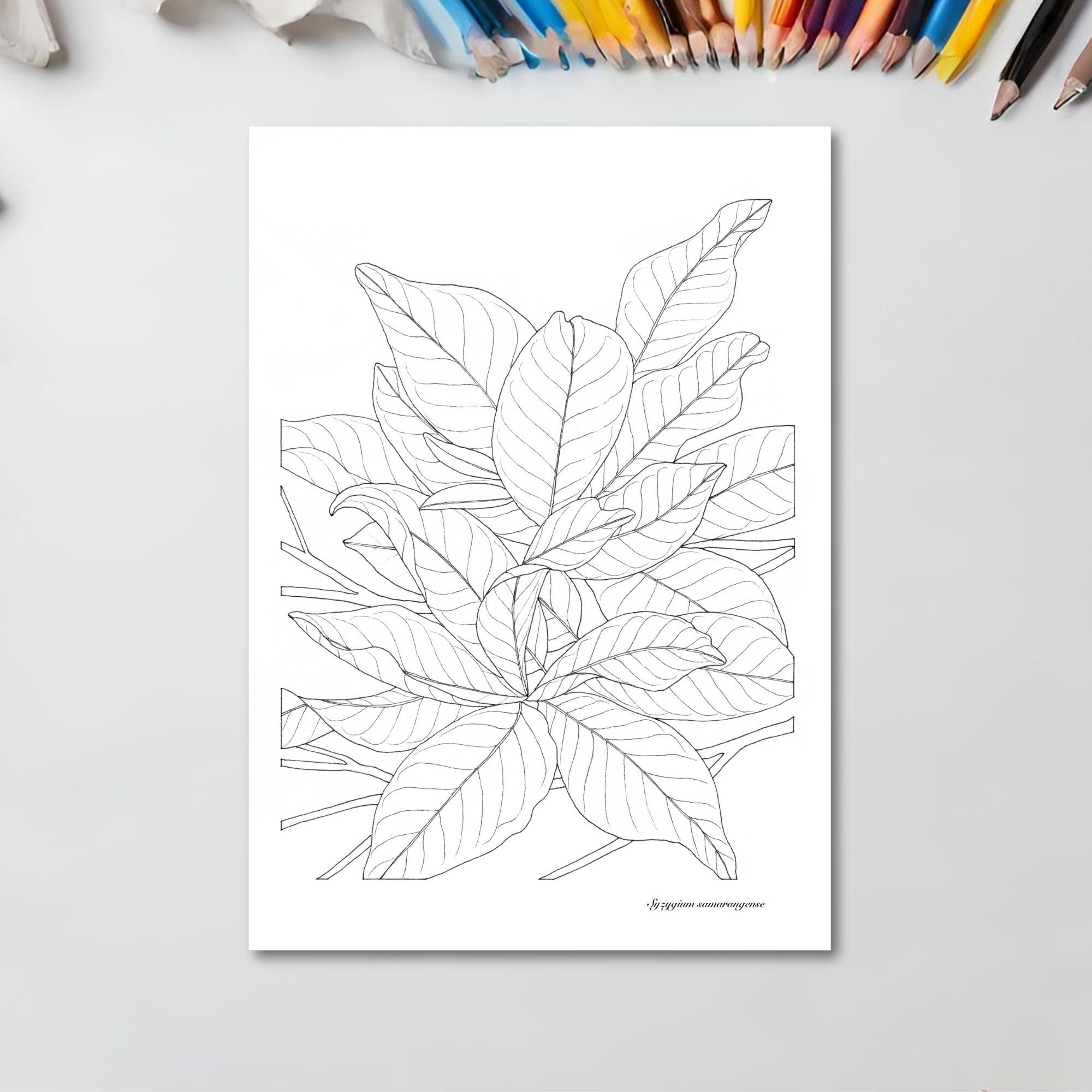 Leaves Coloring Page - Printable Watercolor Coloring Page for Adults With Tutorials - Etsy