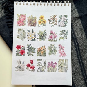 Libro para colorear de acuarela Serie de plantas Libro para colorear Libro para colorear impreso para adultos imagen 2