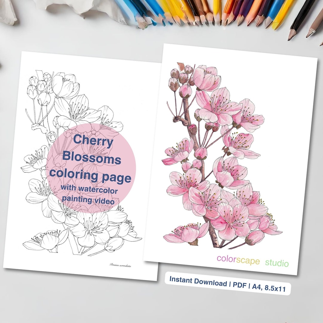 Cherry Blossoms Coloring Page - Printable Watercolor Flower Coloring ...