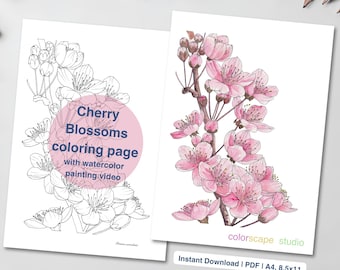 Kirschblüten Malseite - Druckbare Aquarell Blumen Malseite für Erwachsene mit Anleitungen