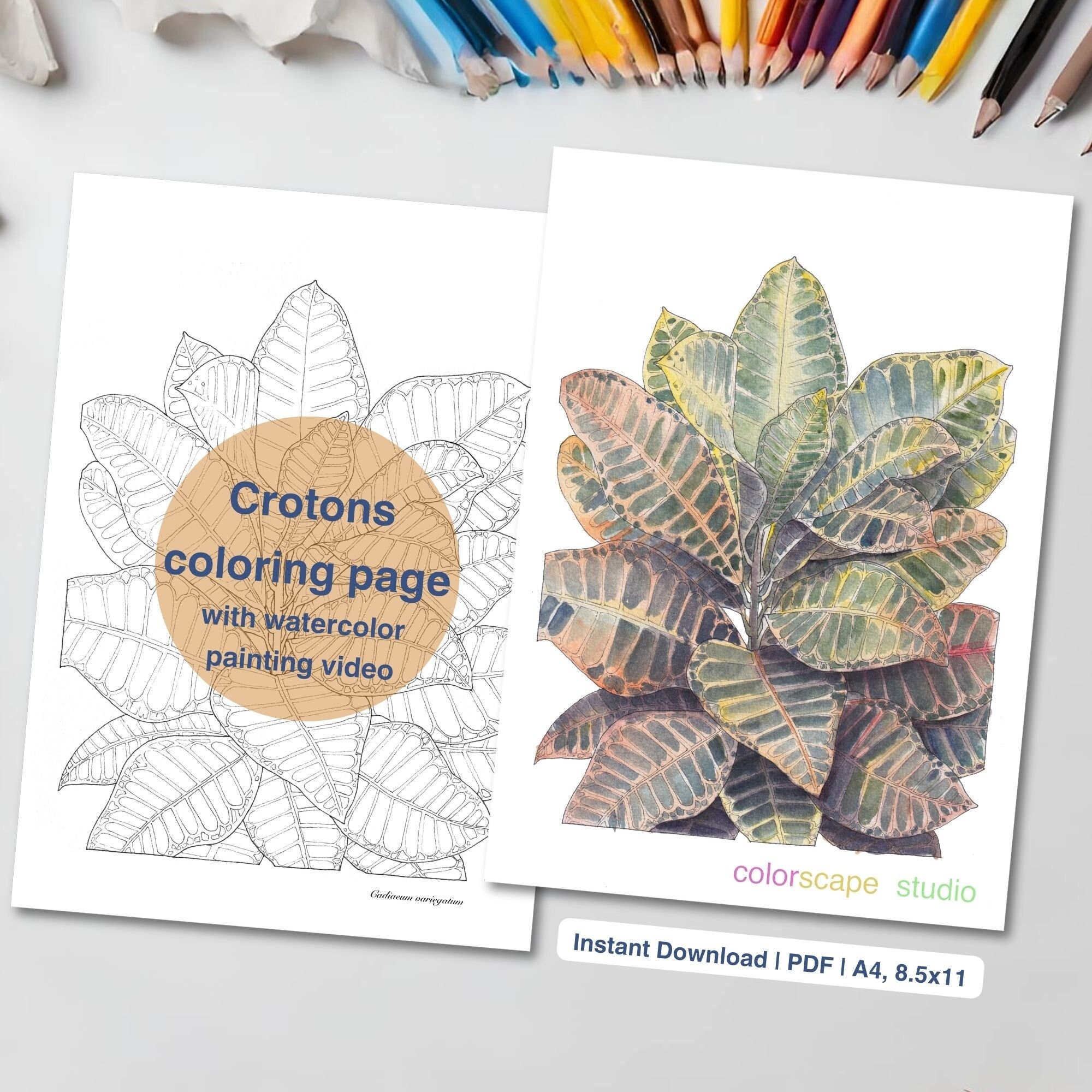 Croton Plant Coloring Page - Printable Watercolor Coloring Page for ...