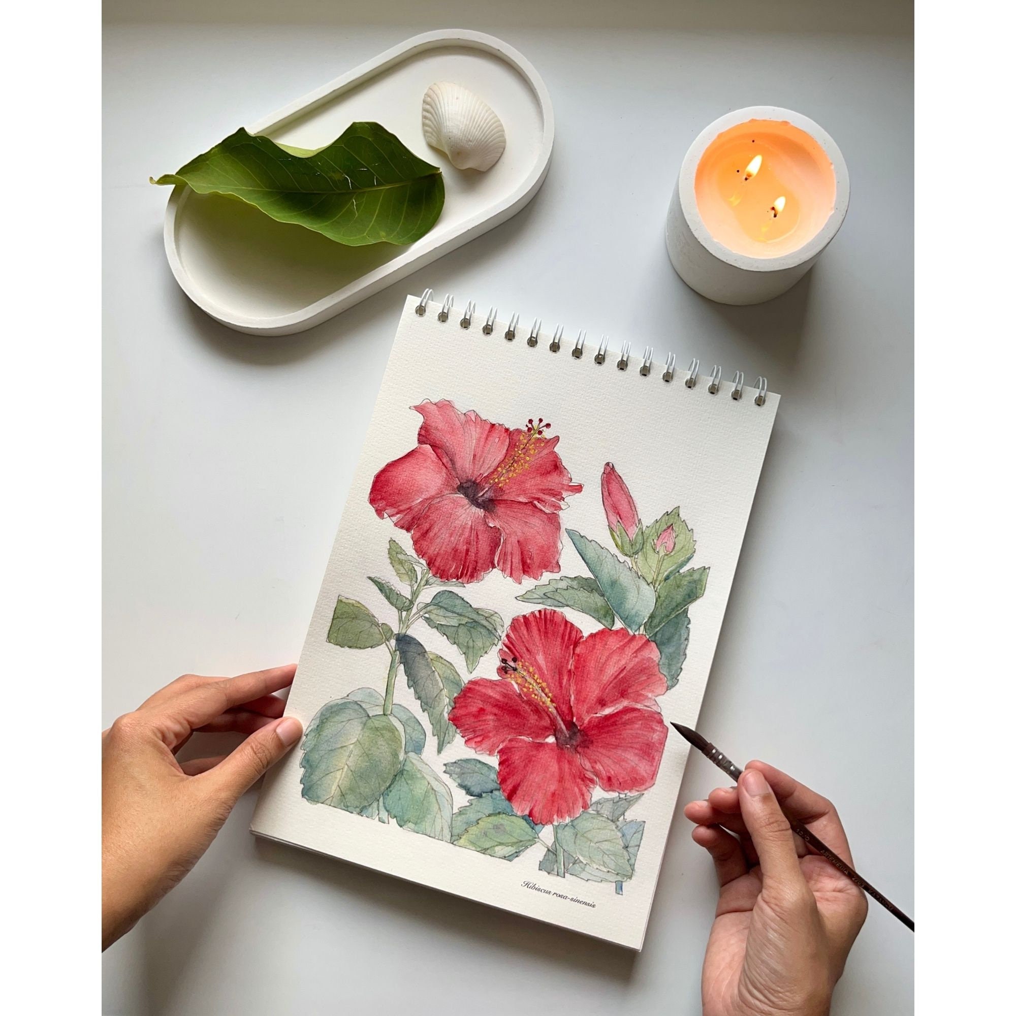 Hibiscus Flower Coloring Page - Printable Watercolor Coloring Page for ...