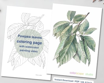 Página para colorear de hojas tropicales - Página para colorear de acuarela imprimible para adultos con tutoriales