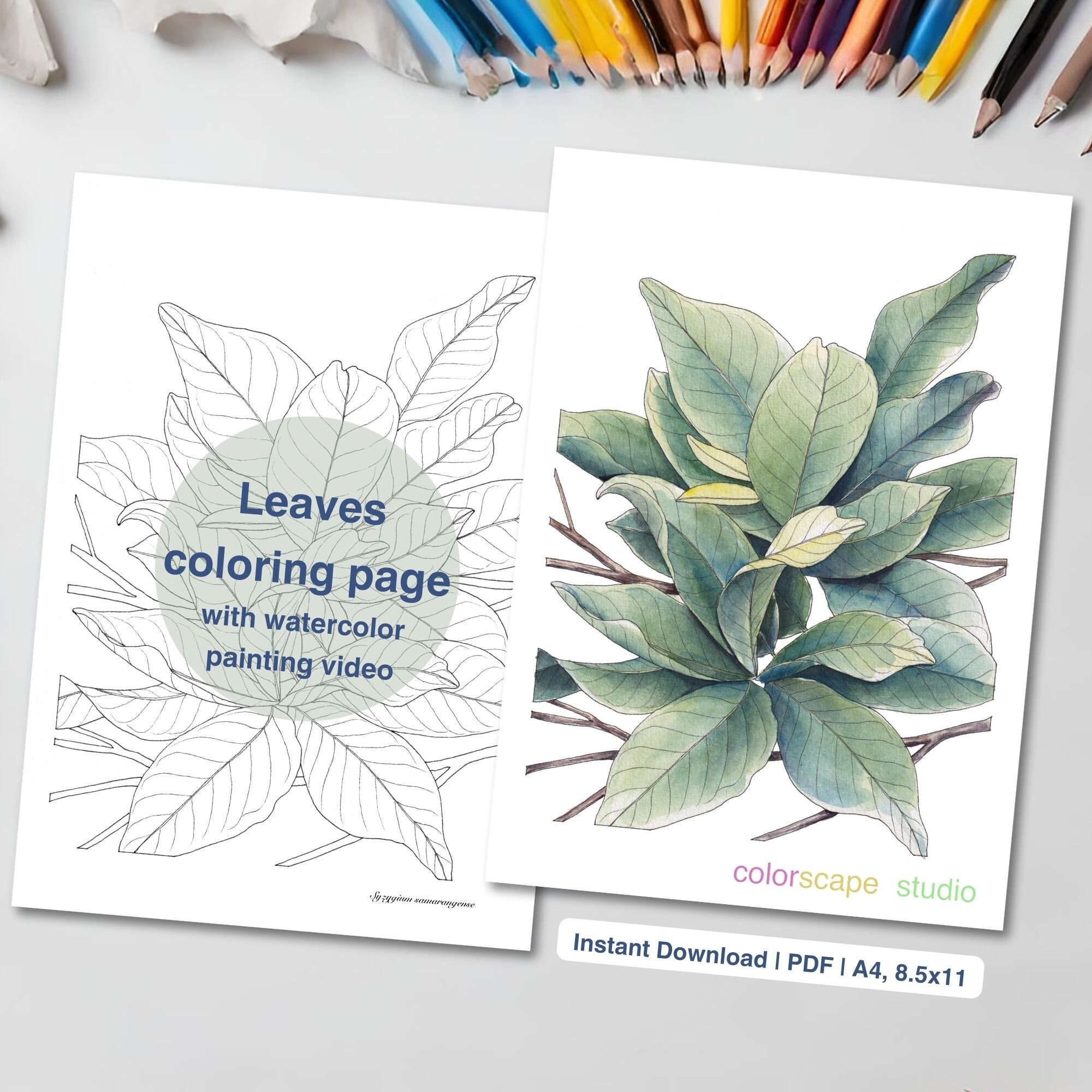 Leaves Coloring Page - Printable Watercolor Coloring Page for Adults With Tutorials - Etsy