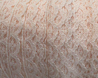 May include: Close-up of a roll of delicate, pale peach-colored lace. The lace features an intricate, openwork design with a repeating floral pattern. The texture is soft and detailed, perfect for crafting or embellishments.