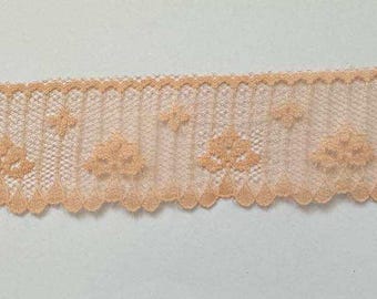 May include: A strip of peach-colored lace with a scalloped edge. The lace features a floral pattern and a delicate, open weave. This trim is suitable for various sewing and craft projects.