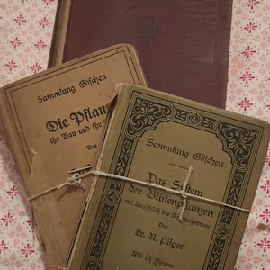 Páginas de libros extranjeros antiguos