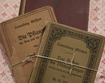 Pagine di libri stranieri d&#39;epoca