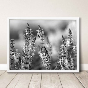 Imprimible arte de pared naturaleza foto de primer plano en blanco y negro, impresión de decoración de interiores de oficina en casa, flores en el paisaje de póster horizontal grande de pradera