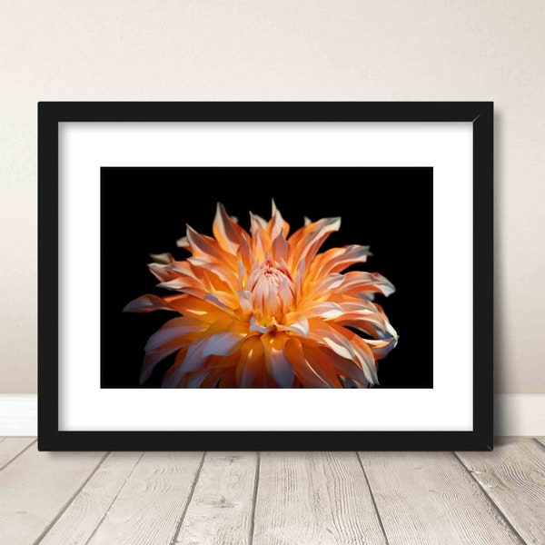 Dahlia orange flower petals on black printable wall art macro photo modern interior decoration nature floral closeup print home office decor