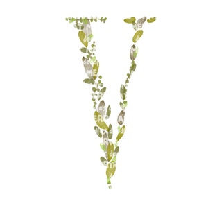 Letra V, Alfabeto de hoja de acuarela, Clip-Art, Monograma, Compromiso, Boda, Aniversario, PNG Digital imprimible, Dibujado a mano