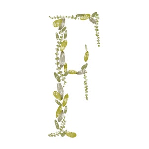 Letra F, Alfabeto de hoja de acuarela, Clip-Art, Monograma, Compromiso, Boda, Aniversario, PNG Digital imprimible, Dibujado a mano