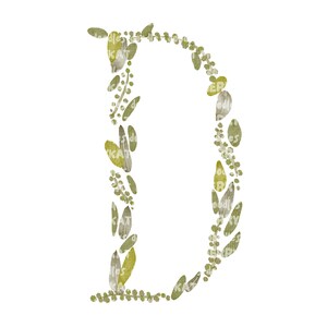 Letra D, Alfabeto de hoja de acuarela, Clip-Art, Monograma, Compromiso, Boda, Aniversario, PNG Digital imprimible, Dibujado a mano