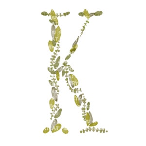 Letra K, Alfabeto de hoja de acuarela, Clip-Art, Monograma, Compromiso, Boda, Aniversario, PNG Digital imprimible, Dibujado a mano