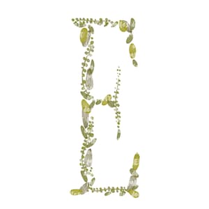 Letra E, Alfabeto de hoja de acuarela, Clip-Art, Monograma, Compromiso, Boda, Aniversario, PNG Digital imprimible, Dibujado a mano