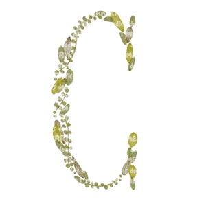 Letra C, Alfabeto de hoja de acuarela, Clip-Art, Monograma, Compromiso, Boda, Aniversario, PNG Digital imprimible, Dibujado a mano