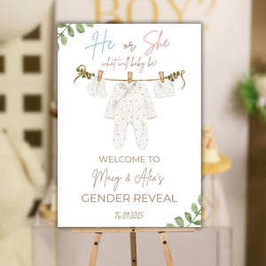 Baby Clothes Gender Reveal Welcome Sign, Clothesline Gender Reveal Sign Pink and Blue, He or She What Will Baby Be, Surprise Gender Reveal