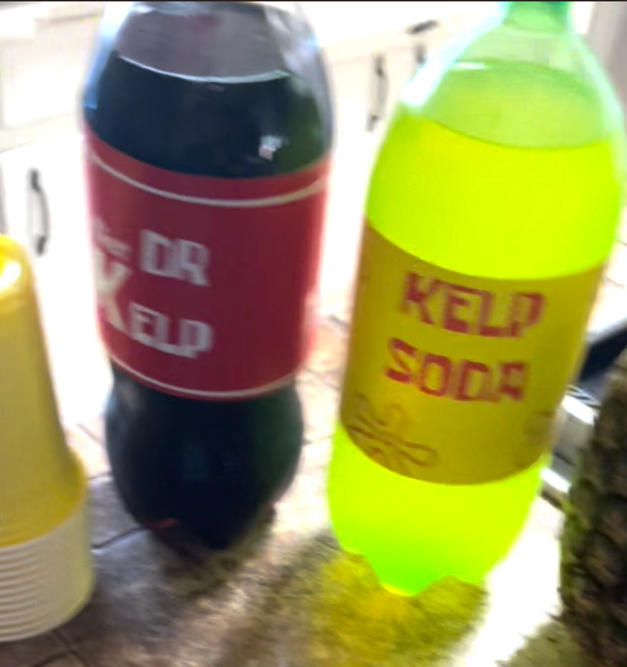 Spongebob Kelp Soda and Dr Kelp Soda. Two Labels for 2L Sodas Instant