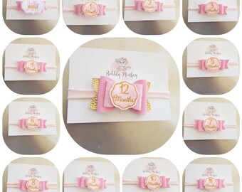Baby Milestone-haarelastiekjes