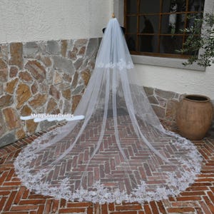 Kathedraal bruidssluier met kanten rand, tweelaagse tule blush, ivoor