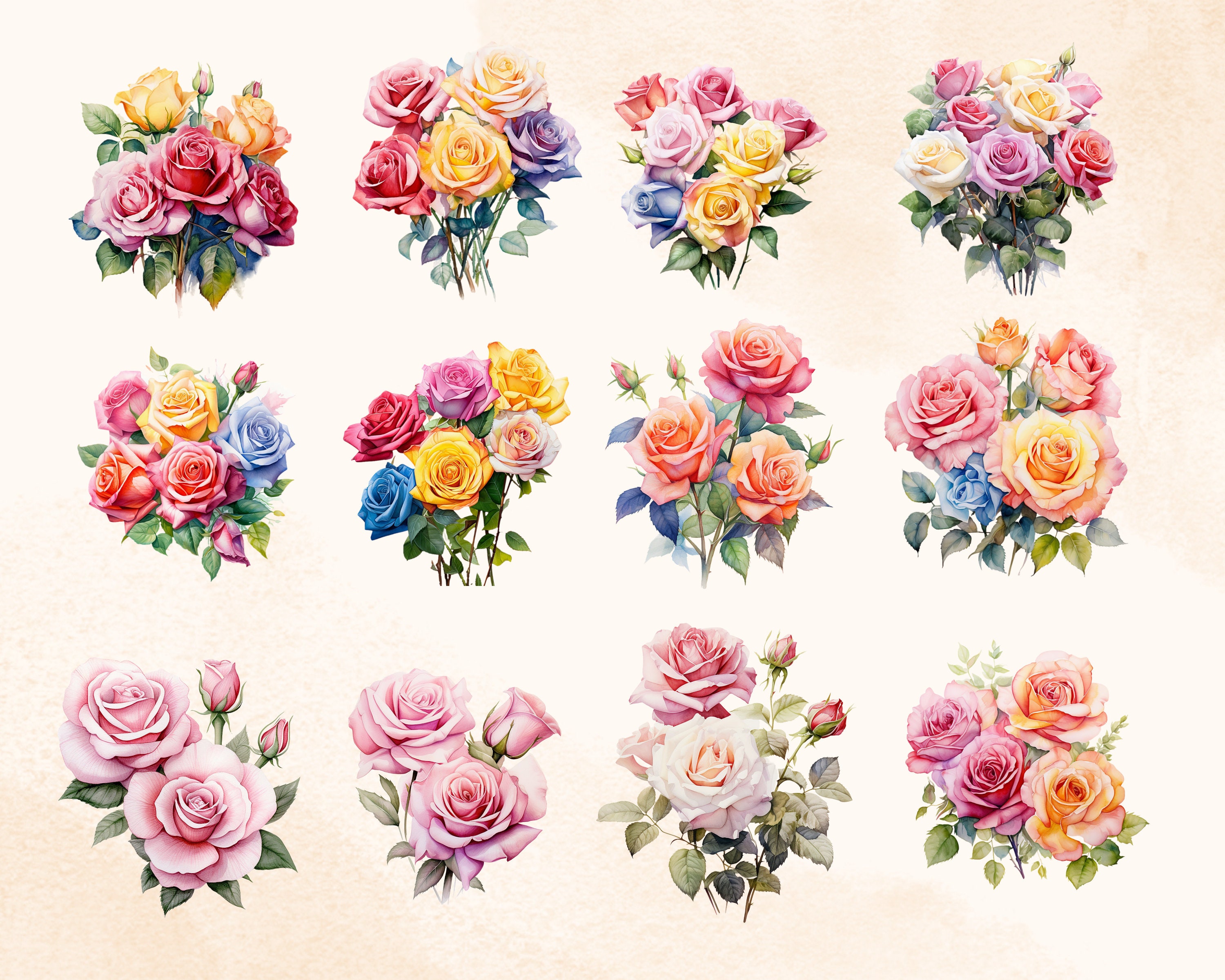 Watercolor Rose Clipart Printable Transparent Digital Pngs - Etsy