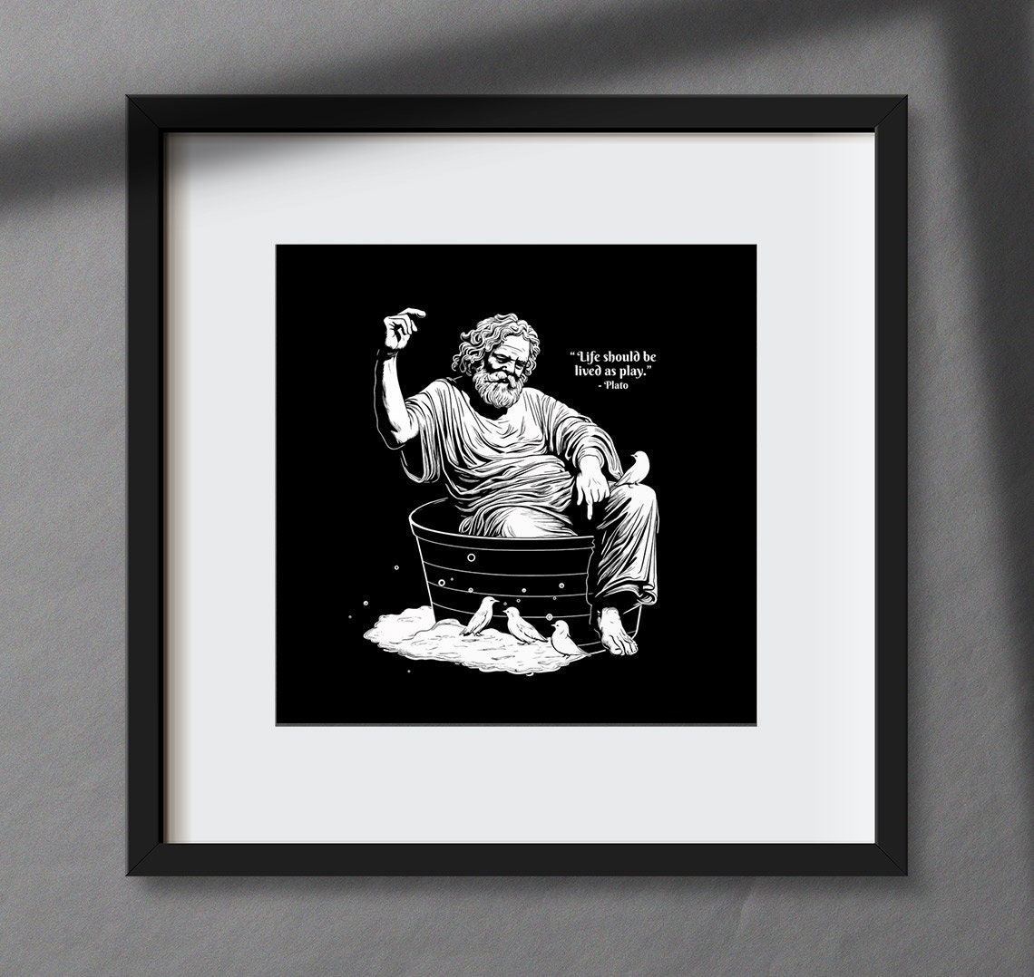 Life Without Varation Example Photo Timeless Quotation 2 Color Variation Poster,