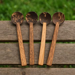 Cucharón de cáscara de coco artesanal (juego de 4 medianos) / Cuchara Chiratta Thavi hecha a mano
