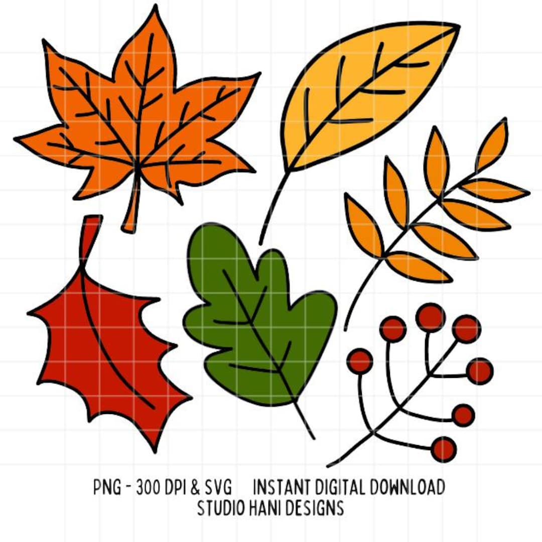 Autumn Leaves SVG PNG Bundle Doodle Fall Thanksgiving Design Foliage ...