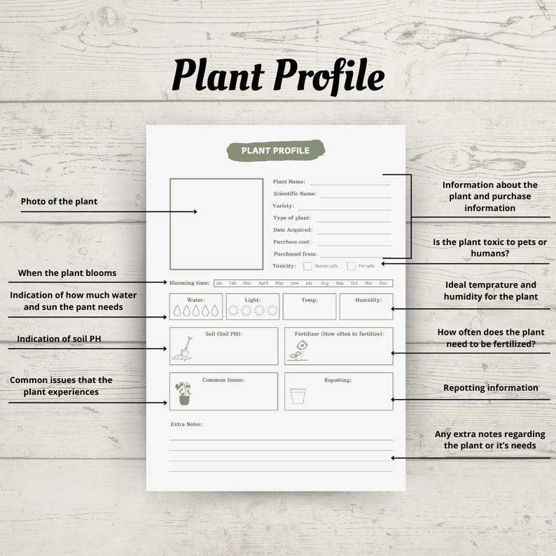 以下が含まれることがあります： 植物のプロファイルテンプレートを印刷できます。植物の名前、学名、品種、植物の種類、取得日、購入価格、購入元、毒性、開花時期、水、光、温度、湿度、土壌のpH、肥料、一般的な問題、植え替えに関する情報などのセクションがあります。