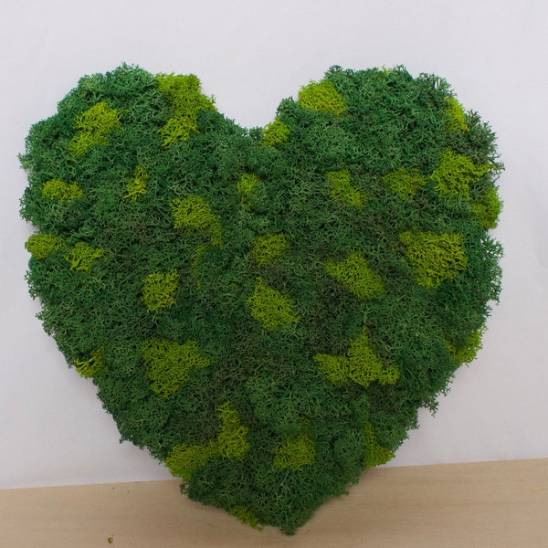 HEART - moss wall art -