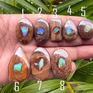 May include: Eight polished boulder opal cabochons labeled one through eight. Each stone features a brown, textured ironstone matrix with a central, iridescent opal inlay displaying flashes of blue, green, and pink light in various shapes.