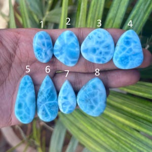 May include: Eight polished larimar gemstones in various shapes, including oval and teardrop. The stones display a light blue colour with white marbling, resembling ocean waves. The gemstones are held in a hand against a background of green foliage.