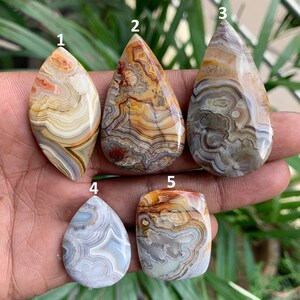 May include: Five polished agate gemstones in various shapes. The stones display a range of colors, including beige, brown, orange, and gray, with intricate banding patterns. The gemstones are held in a hand, showcasing their natural beauty and unique designs.