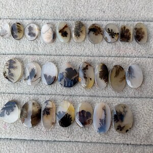May include: A collection of dendritic agate cabochons in various shapes, including oval and teardrop. The stones feature intricate, tree-like patterns in shades of brown and black against a translucent, milky white background. The cabochons are arranged on a gray surface.