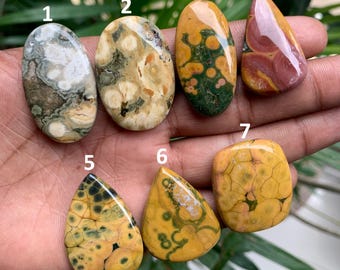 Naturlig fruktjaspis cabochon ädelsten, fruktjaspis ädelsten, blandad form cabochon, lös ädelsten, fruktjaspis slät cabochon, för smycken