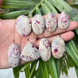 May include: A collection of eight polished gemstones, each with a unique shape. The stones feature a speckled pattern of light gray and beige with vibrant red and pink inclusions. The gemstones are displayed against a backdrop of green foliage.