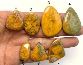 May include: Seven polished gemstones in various shapes, held in a hand. The stones display a mix of yellow, brown, and green colours with unique patterns. The shapes include teardrop, oval, and irregular forms, showcasing natural textures.