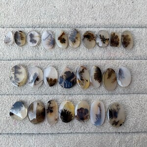 May include: A collection of polished dendritic agate gemstones in various oval and teardrop shapes. The stones display intricate, fern-like inclusions in shades of brown and black against a translucent, creamy white background. The gemstones are arranged on a light gray surface.